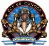 Escuadrón de Combate Virtual 56 Condor